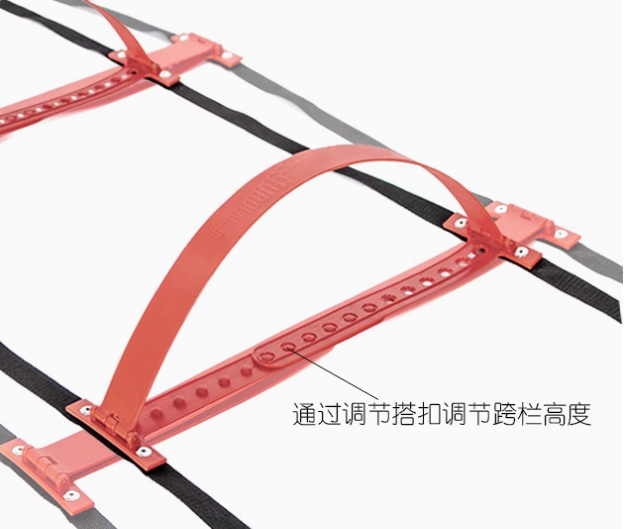 Dimensioni regolabili all'ingr - Agility Ladder Speed recensione e prezzo