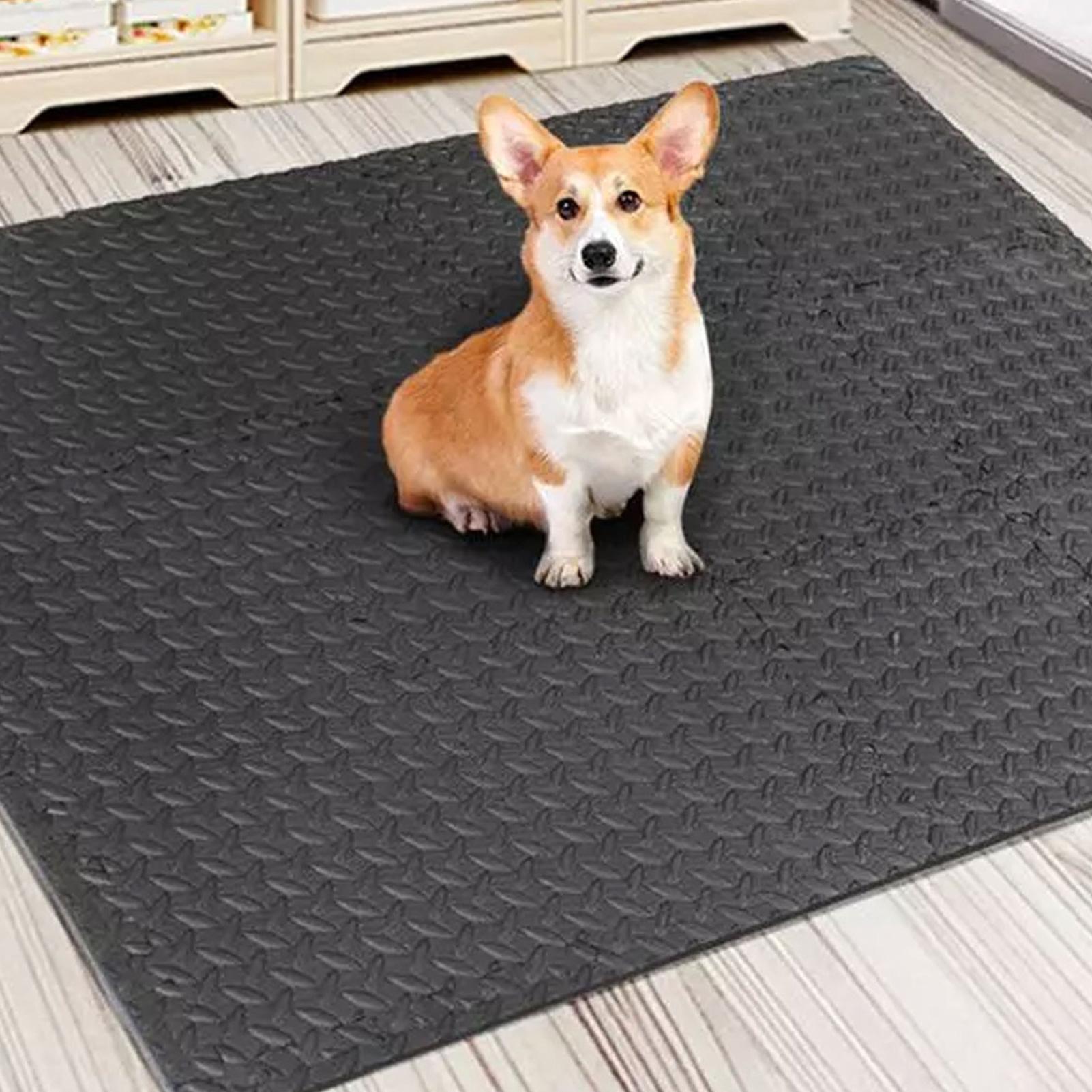 Piastrelle da palestra 12 pezz - Home Gym For Toddlers recensione e prezzo